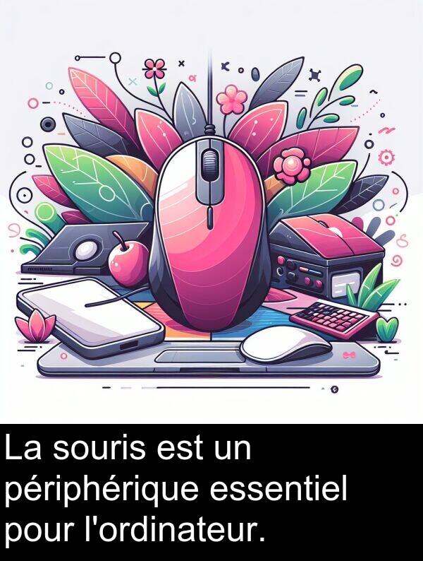 souris: La souris est un périphérique essentiel pour l'ordinateur.