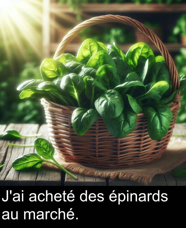 épinards: J'ai acheté des épinards au marché.