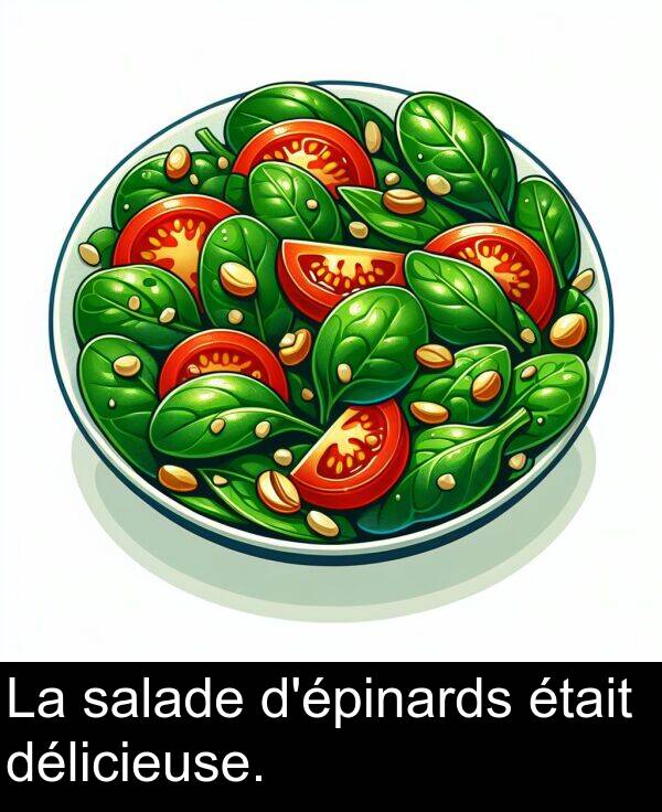 salade: La salade d'épinards était délicieuse.