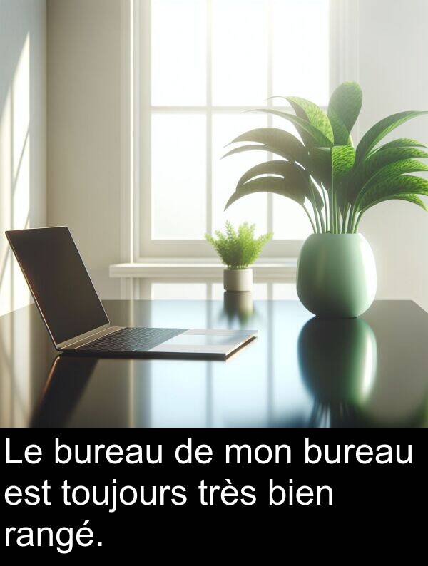 rangé: Le bureau de mon bureau est toujours très bien rangé.