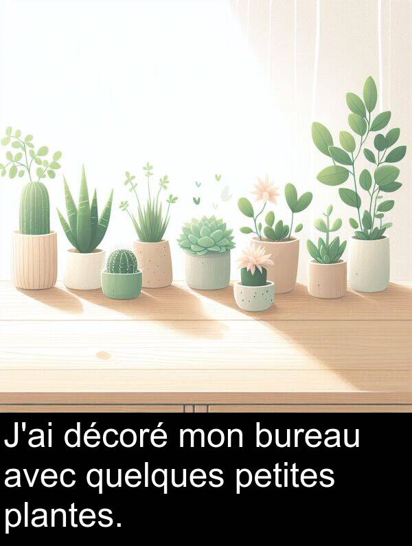 décoré: J'ai décoré mon bureau avec quelques petites plantes.