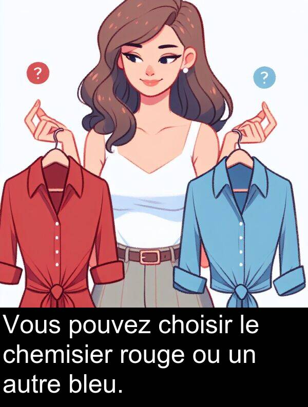 autre: Vous pouvez choisir le chemisier rouge ou un autre bleu.