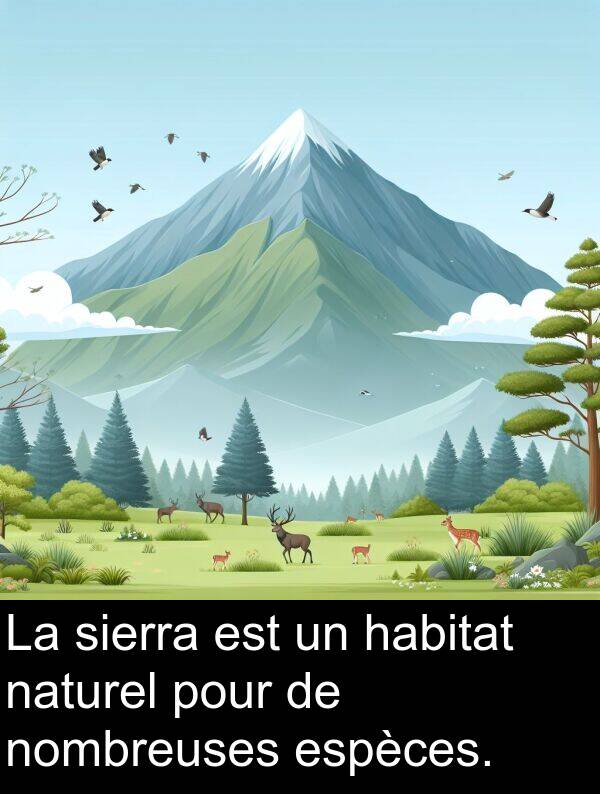 sierra: La sierra est un habitat naturel pour de nombreuses espèces.