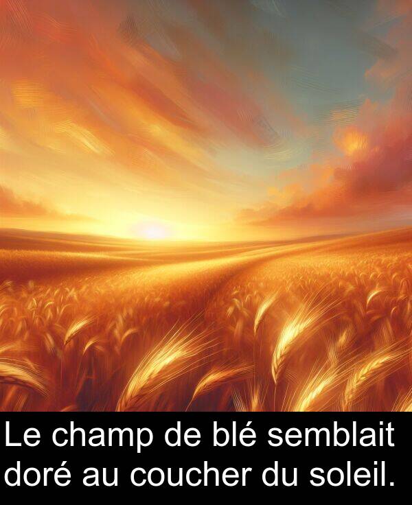 blé: Le champ de blé semblait doré au coucher du soleil.