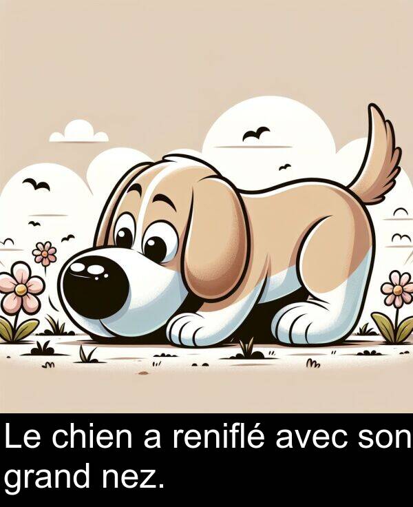 reniflé: Le chien a reniflé avec son grand nez.