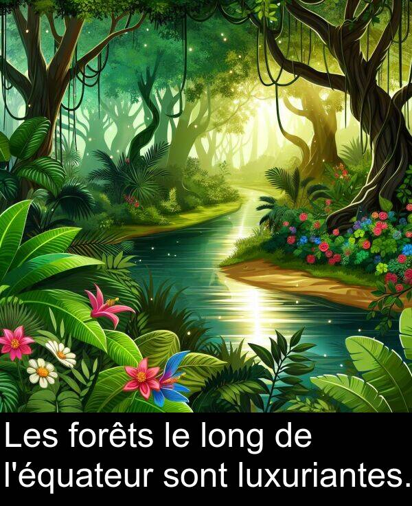 luxuriantes: Les forêts le long de l'équateur sont luxuriantes.