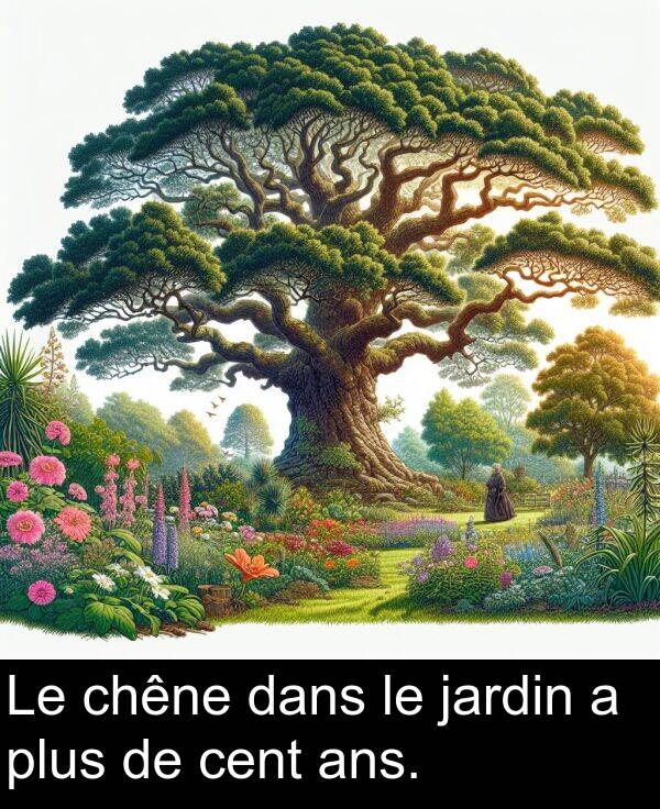 dans: Le chêne dans le jardin a plus de cent ans.