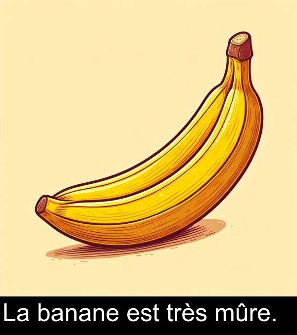 très: La banane est très mûre.