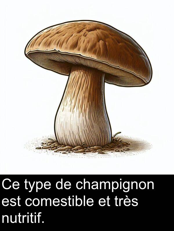 nutritif: Ce type de champignon est comestible et très nutritif.