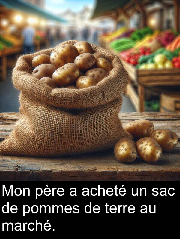 sac: Mon père a acheté un sac de pommes de terre au marché.