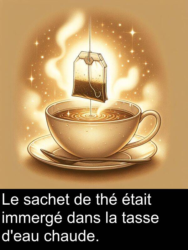 sachet: Le sachet de thé était immergé dans la tasse d'eau chaude.