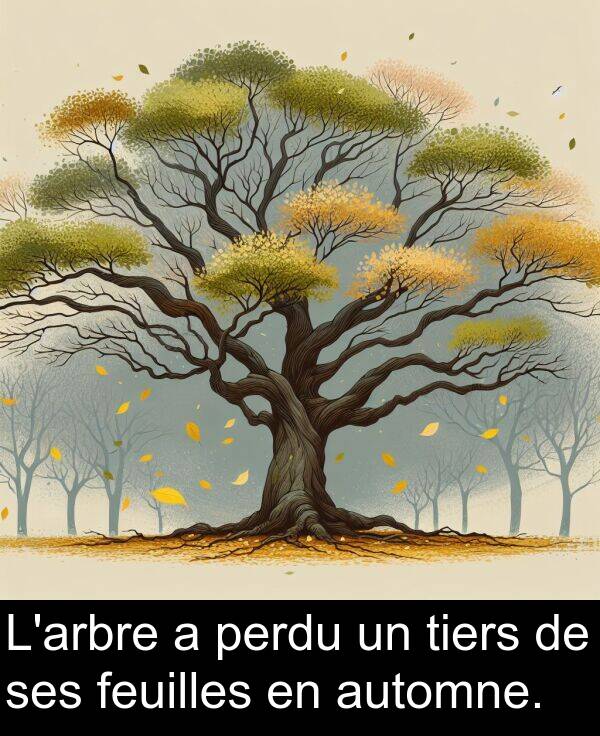 automne: L'arbre a perdu un tiers de ses feuilles en automne.