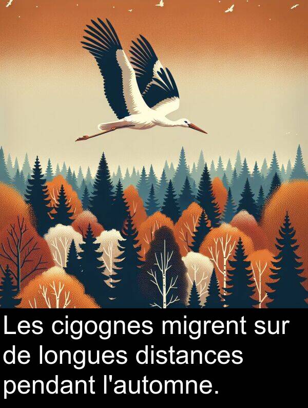 cigognes: Les cigognes migrent sur de longues distances pendant l'automne.