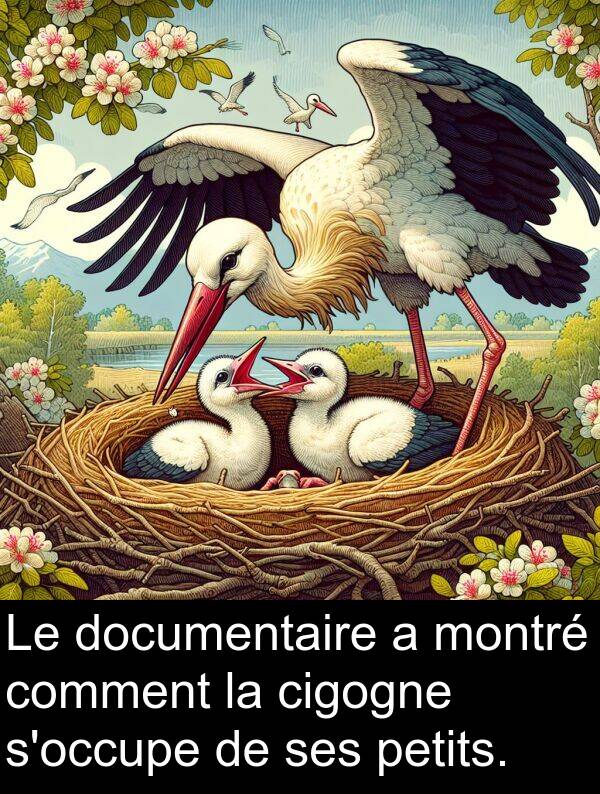 cigogne: Le documentaire a montré comment la cigogne s'occupe de ses petits.