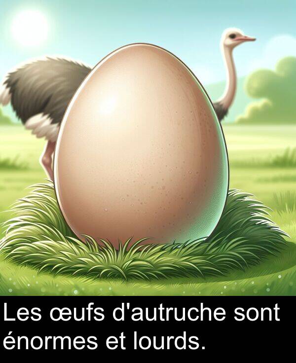 sont: Les œufs d'autruche sont énormes et lourds.