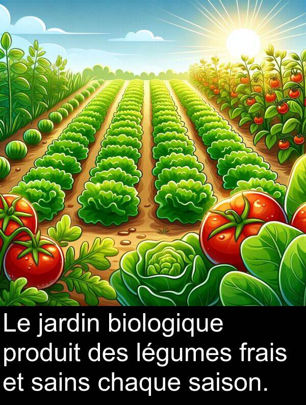 sains: Le jardin biologique produit des légumes frais et sains chaque saison.
