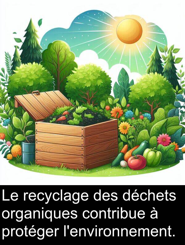 déchets: Le recyclage des déchets organiques contribue à protéger l'environnement.