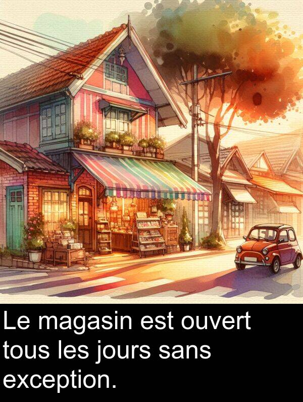sans: Le magasin est ouvert tous les jours sans exception.