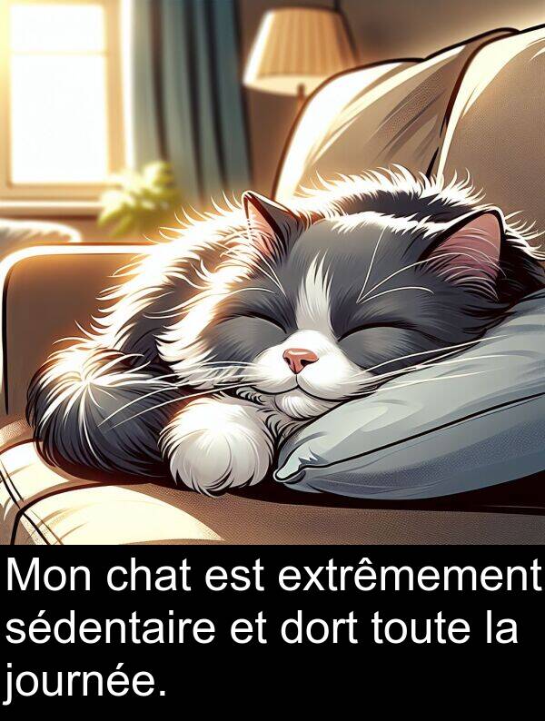 journée: Mon chat est extrêmement sédentaire et dort toute la journée.