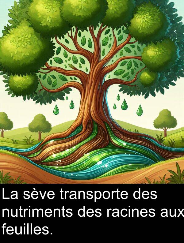 aux: La sève transporte des nutriments des racines aux feuilles.
