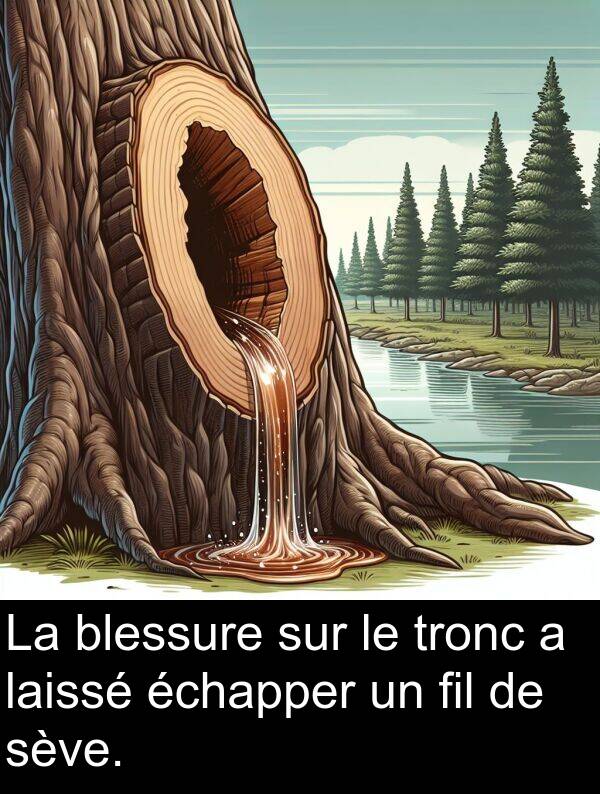 échapper: La blessure sur le tronc a laissé échapper un fil de sève.
