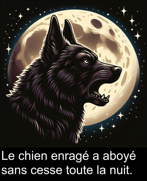sans: Le chien enragé a aboyé sans cesse toute la nuit.