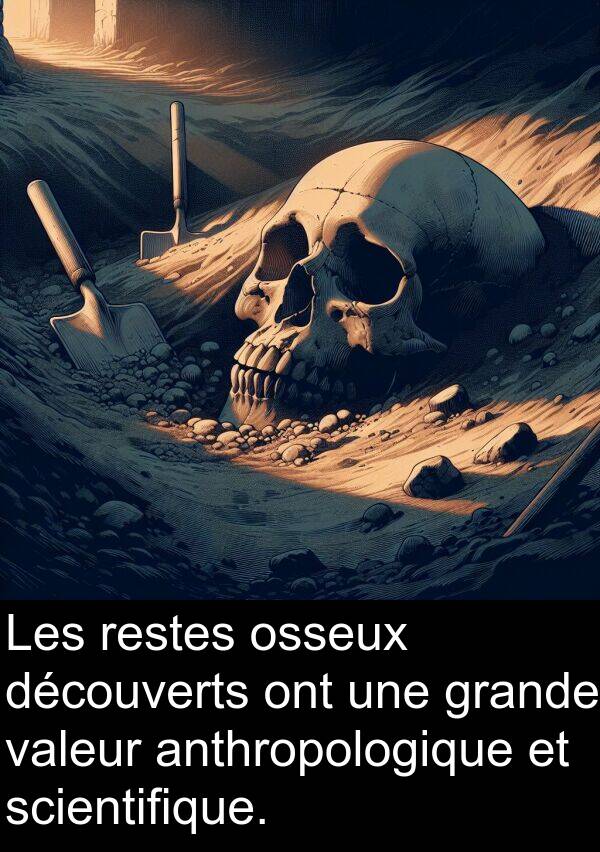 valeur: Les restes osseux découverts ont une grande valeur anthropologique et scientifique.