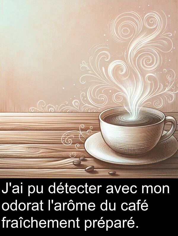 odorat: J'ai pu détecter avec mon odorat l'arôme du café fraîchement préparé.