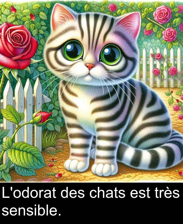 très: L'odorat des chats est très sensible.