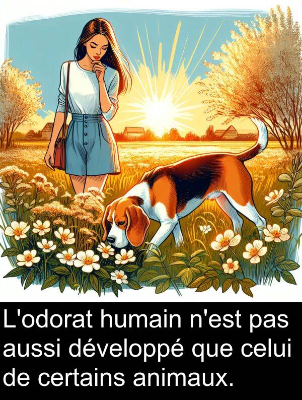 celui: L'odorat humain n'est pas aussi développé que celui de certains animaux.