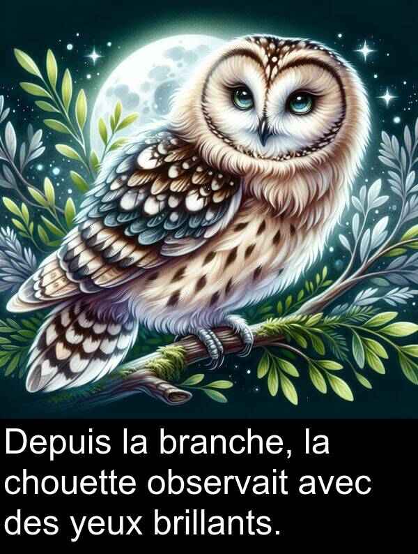 observait: Depuis la branche, la chouette observait avec des yeux brillants.
