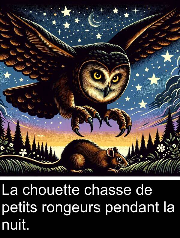 chouette: La chouette chasse de petits rongeurs pendant la nuit.