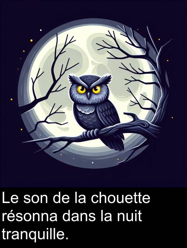 chouette: Le son de la chouette résonna dans la nuit tranquille.