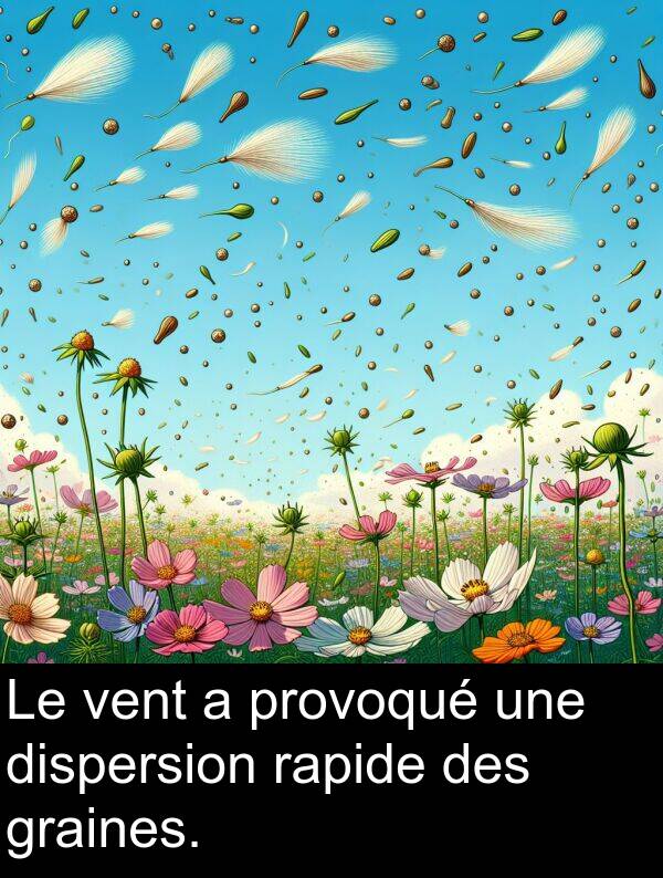 vent: Le vent a provoqué une dispersion rapide des graines.
