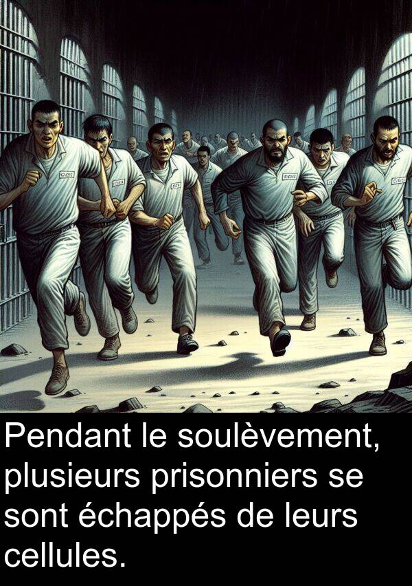 échappés: Pendant le soulèvement, plusieurs prisonniers se sont échappés de leurs cellules.