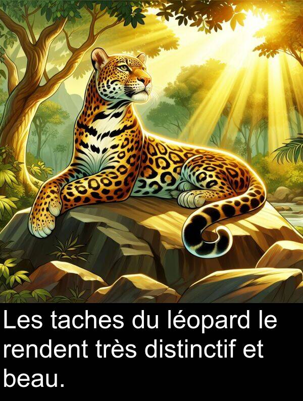 taches: Les taches du léopard le rendent très distinctif et beau.