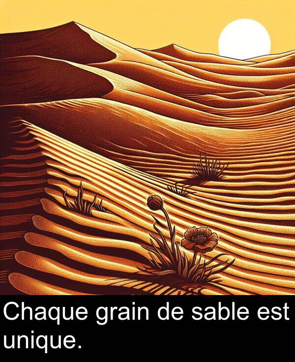 unique: Chaque grain de sable est unique.