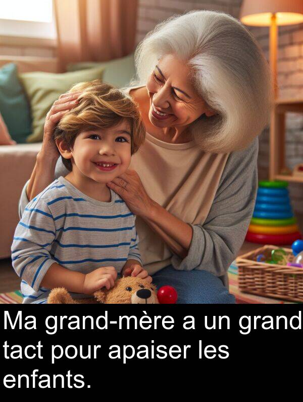 tact: Ma grand-mère a un grand tact pour apaiser les enfants.