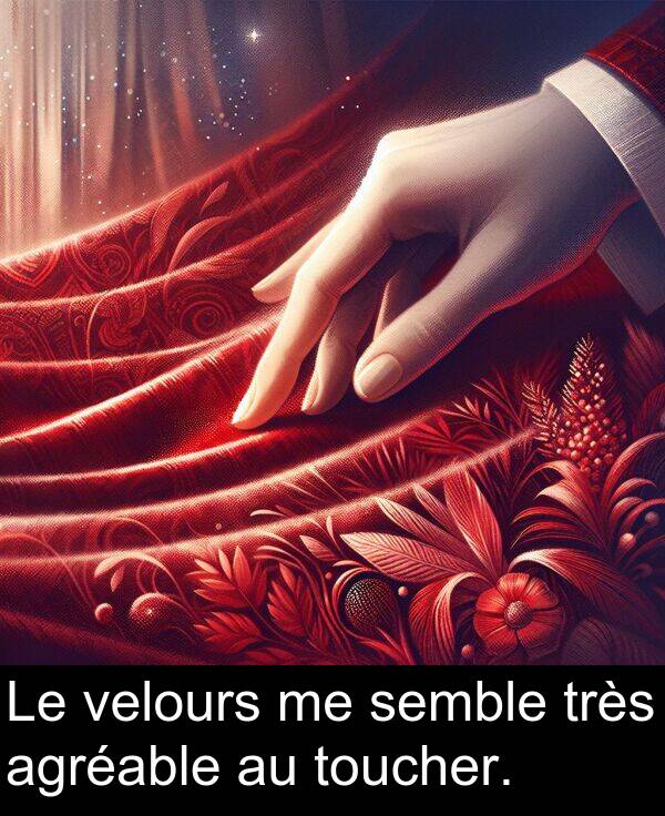 semble: Le velours me semble très agréable au toucher.