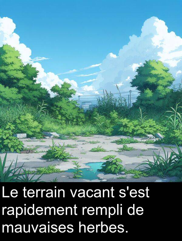 rapidement: Le terrain vacant s'est rapidement rempli de mauvaises herbes.
