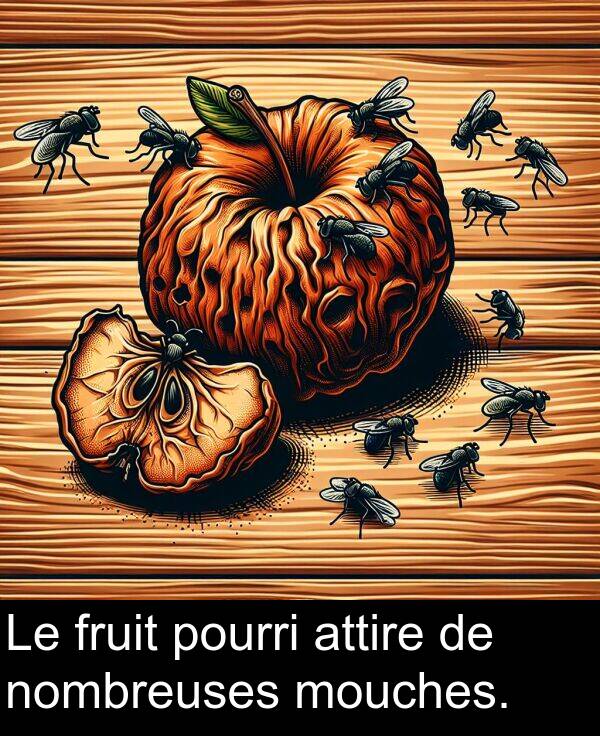 mouches: Le fruit pourri attire de nombreuses mouches.