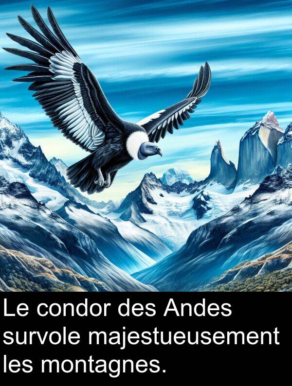 majestueusement: Le condor des Andes survole majestueusement les montagnes.
