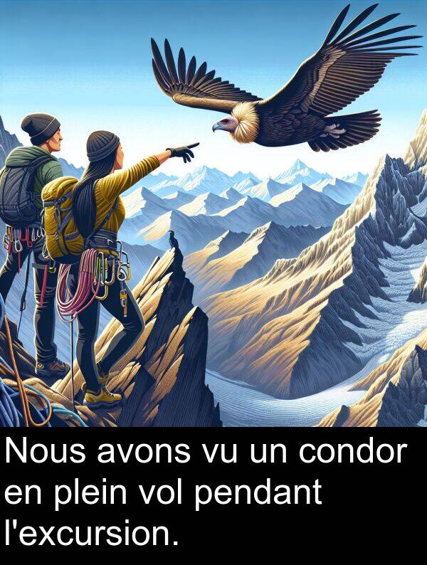 condor: Nous avons vu un condor en plein vol pendant l'excursion.