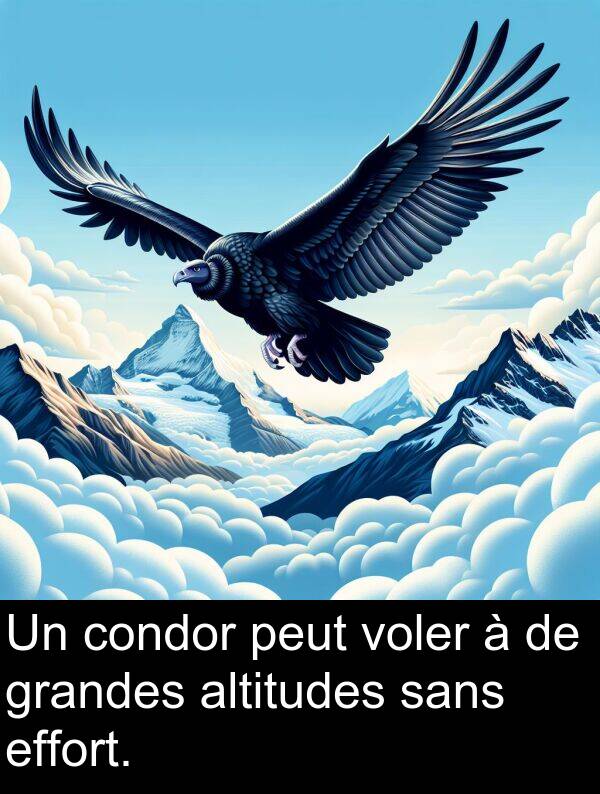 effort: Un condor peut voler à de grandes altitudes sans effort.