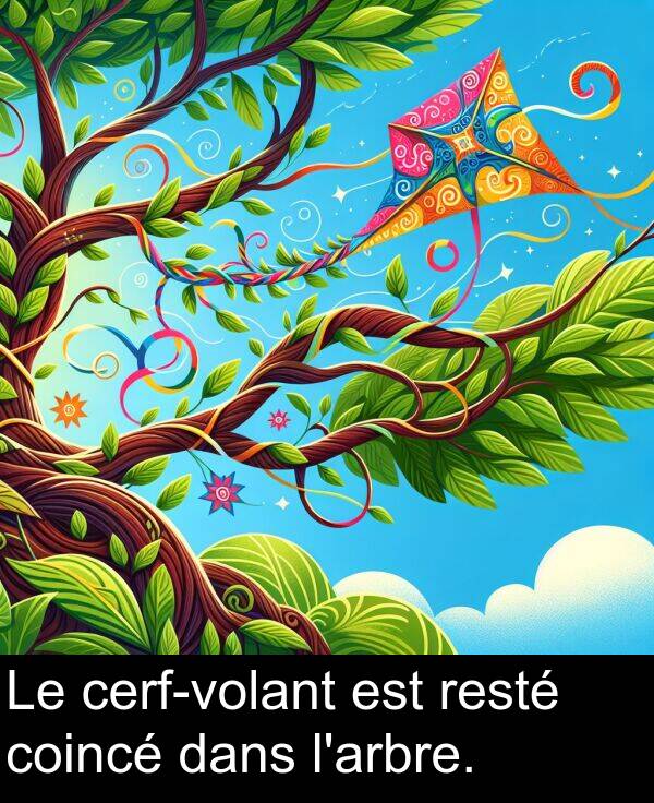 dans: Le cerf-volant est resté coincé dans l'arbre.