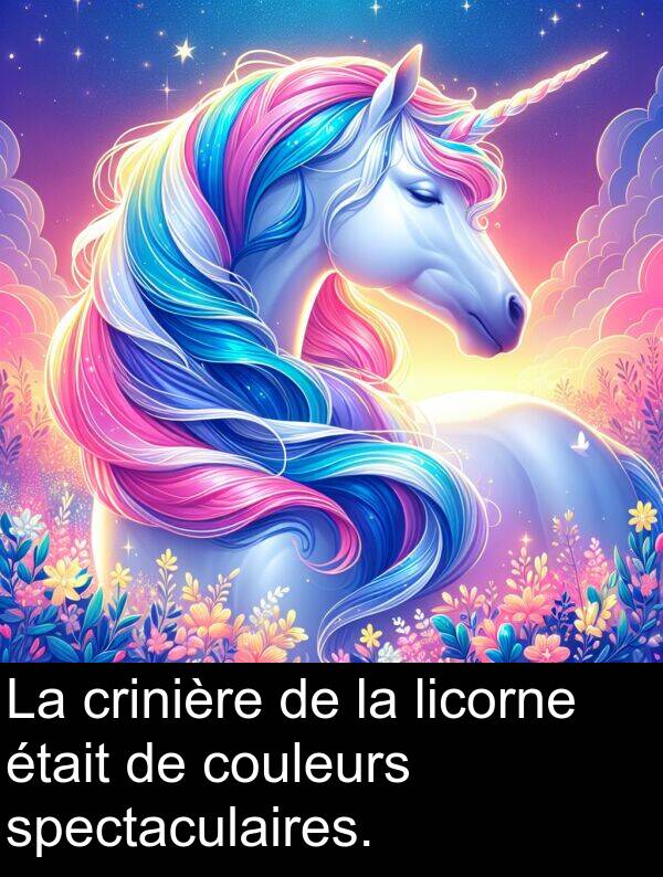 couleurs: La crinière de la licorne était de couleurs spectaculaires.
