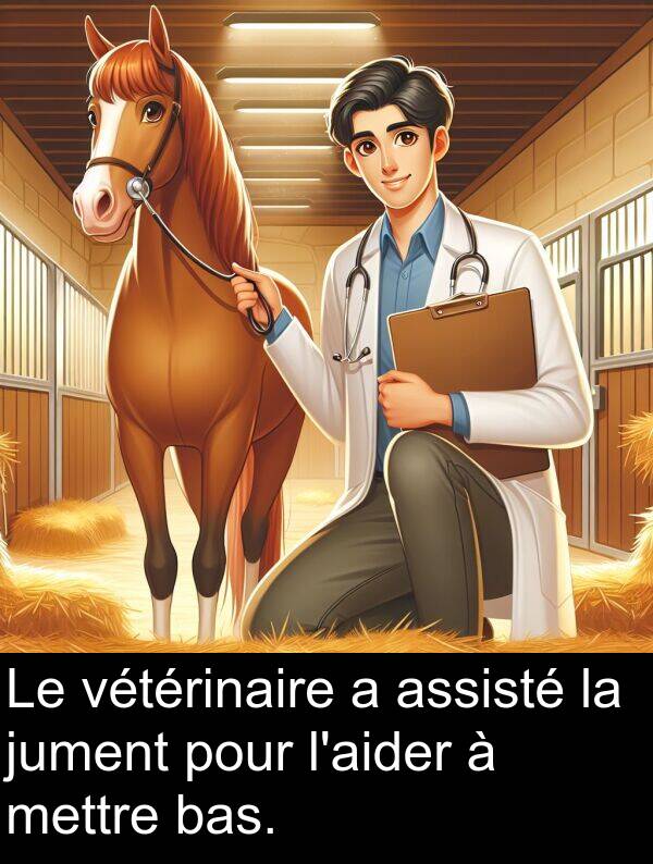 bas: Le vétérinaire a assisté la jument pour l'aider à mettre bas.
