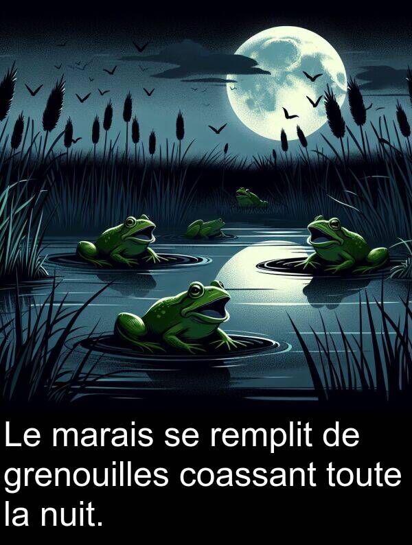 nuit: Le marais se remplit de grenouilles coassant toute la nuit.