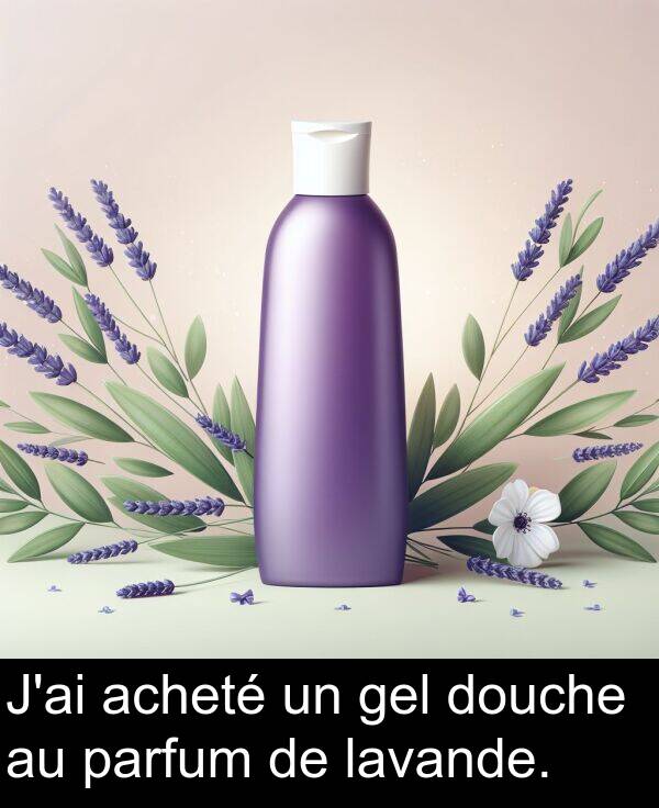 lavande: J'ai acheté un gel douche au parfum de lavande.