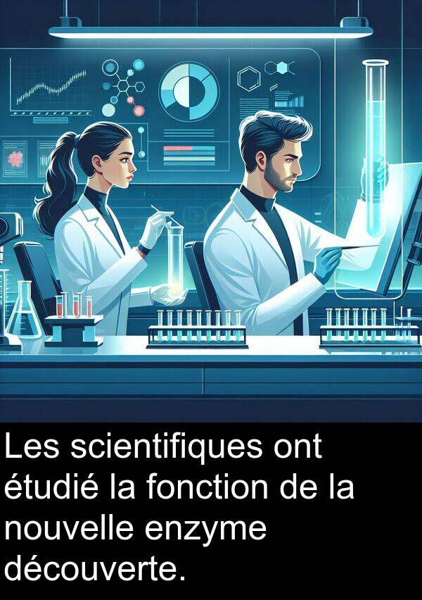 découverte: Les scientifiques ont étudié la fonction de la nouvelle enzyme découverte.